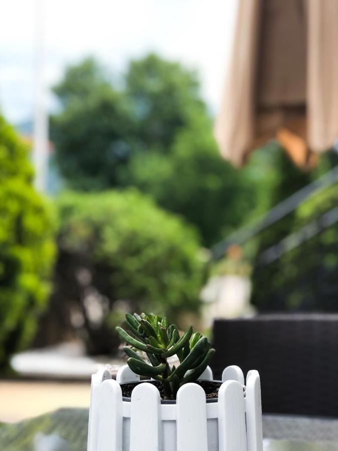 Asteris Apartments Демир Капия Екстериор снимка